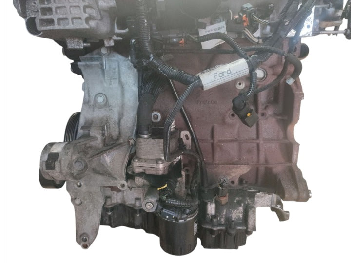 Motor Ford T8CM 2.0 TDCI 180PS 132kW 172TKm Diesel Engine Komplett MOT6913070909wp