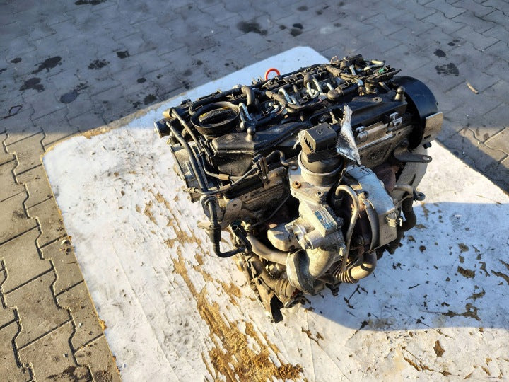 Motor Audi Seat Skoda VW I CAY 1.6 TDI 86TKm Diesel Engine Komplett MOT6175513604mz