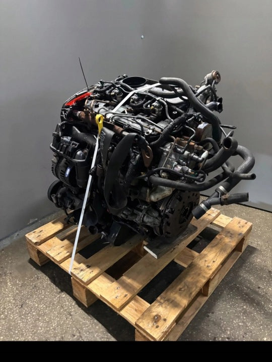 Motor Ford Transit P8FA P8FB 2.2 TDCI 85PS 63kW 190TKm 2010 Diesel Komplett MOT4086100034wm