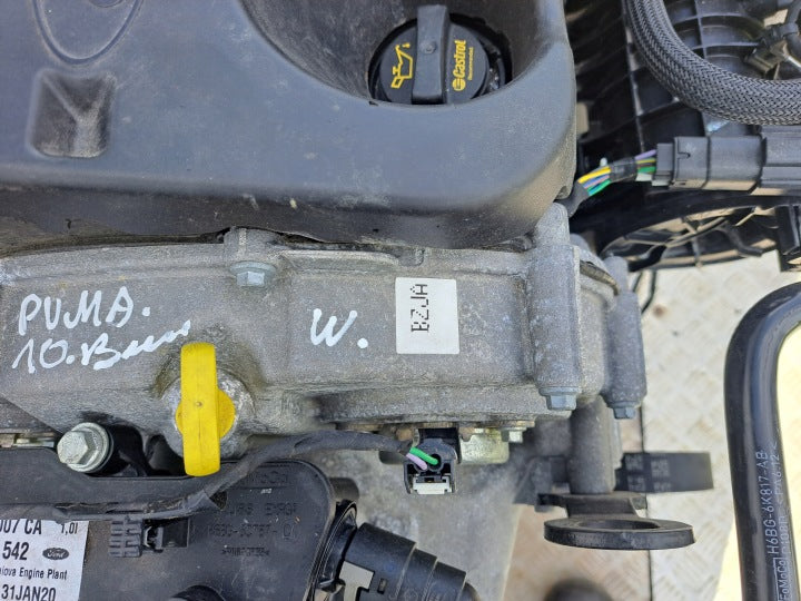 Motor Ford Puma BZJA 1.0 155PS 114kW Benzin Engine Komplett MOT6132078673uc