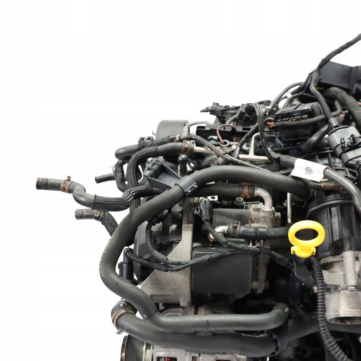 Motor VW Caddy III CAYE 1.6 TDI 75PS 55kW 159TKm Diesel Engine Unkomplett MOT1930253295xh