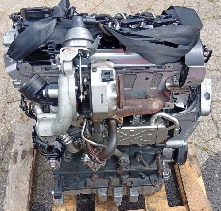 Motor VW Golf VI I Caddy CAY 1.6 TDI 90PS 66kW Diesel Engine Komplett MOT8983631414xg