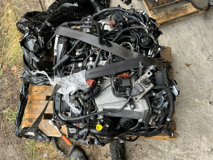 Motor Audi VW A4 B9 Passat DET 2.0 TDI 56TKm Diesel Engine Komplett MOT3962354374zz