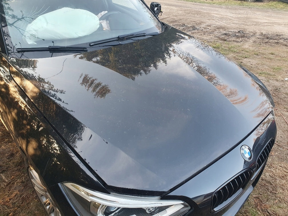 Frontscheinwerfer BMW F20 7229678 7229677 Xenon Ein Stück (Rechts oder Links) SCH8430532822rb