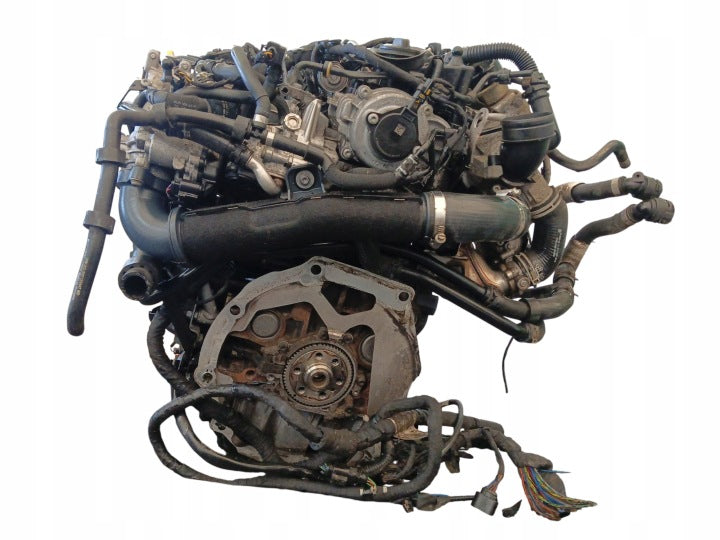 Motor Audi Q3 CUV 2.0 TDI 150PS 110kW 146TKm 2014 Diesel Engine Komplett MOT2380416476ks
