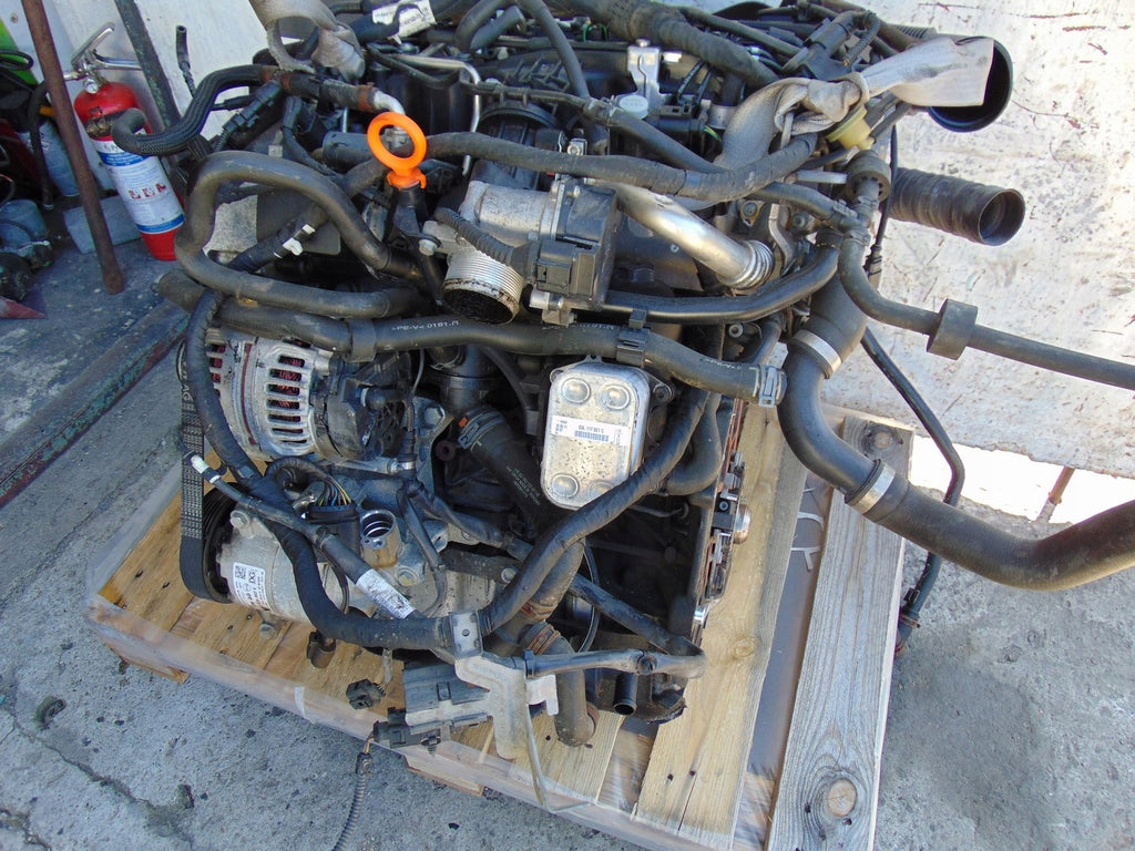 Motor VW Caddy III CAYD CAYE 1.6 TDI 50TKm 2010 Diesel Engine Komplett