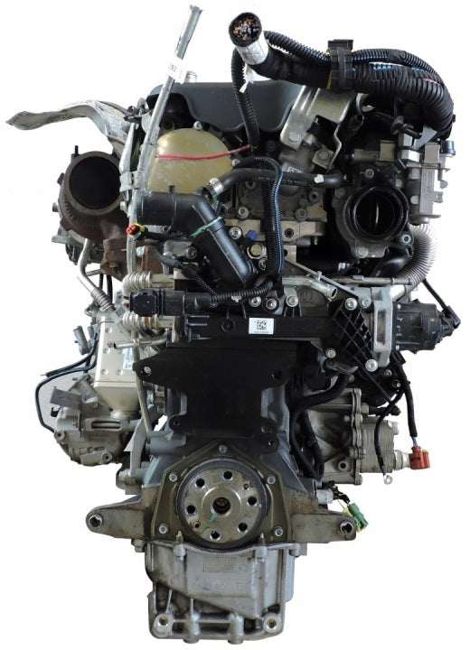 Motor Fiat Ducato 250A2000 2.0 116PS 85kW Diesel Engine Komplett MOT2485851361zi