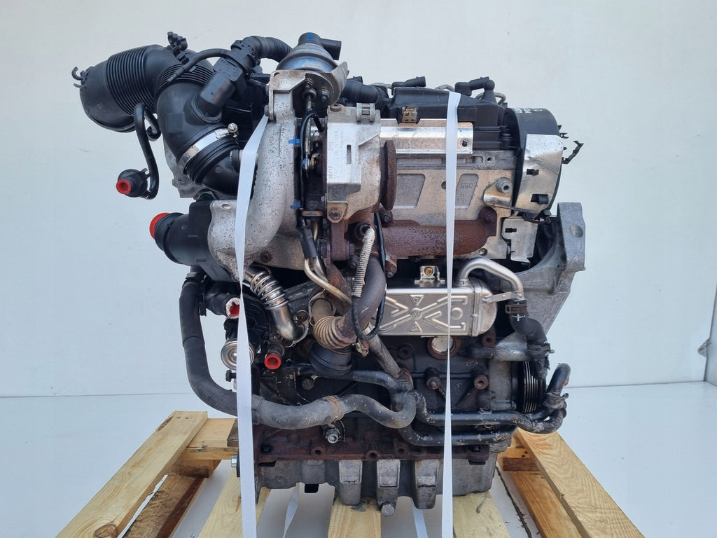 Motor VW Caddy III CAYE 1.6 TDI 75PS 55kW 233TKm 2003 Diesel Engine Komplett