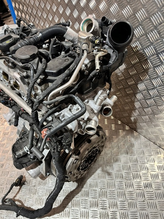 Motor VW Golf VIII I DXD DXDB 1.5 TDI 90PS 66kW 25TKm 2024 Benzin Komplett MOT9259709354mz