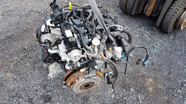 Motor Ford Fiesta I P4JC P4JA P4JD P4JB 1.0 59TKm Benzin Engine Komplett MOT2393294038rj
