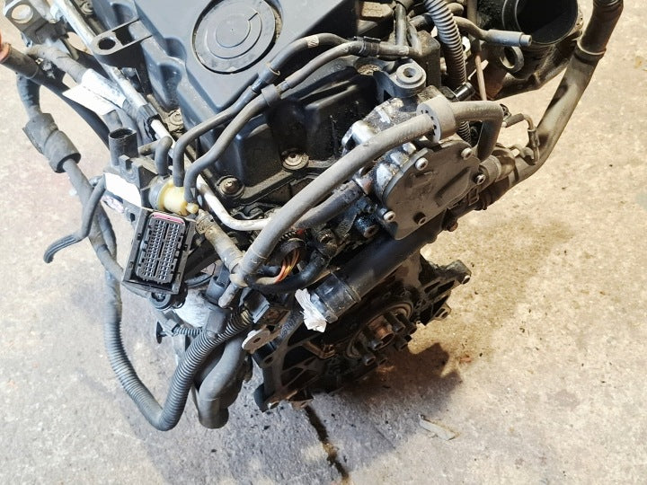 Motor VW Golf V Plus I BXJ 1.9 TDI 90PS 66kW 256TKm 2005 Diesel Unkomplett MOT6843326699gl