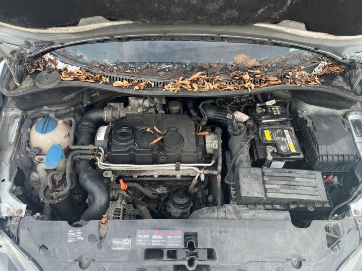 Motor Seat Altea Xl BLS 1.9 TDI 105PS 77kW 242TKm 2006 Diesel Engine Unkomplett MOT1794155189hp
