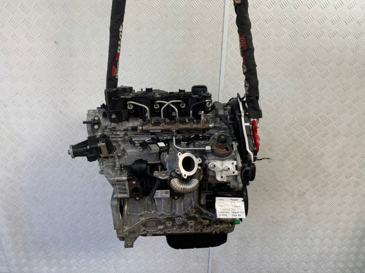 Motor Peugeot Rifter YH01 10Q4EP 1.5 HDI 31TKm 2020 Diesel Engine Unkomplett MOT6296568186fv