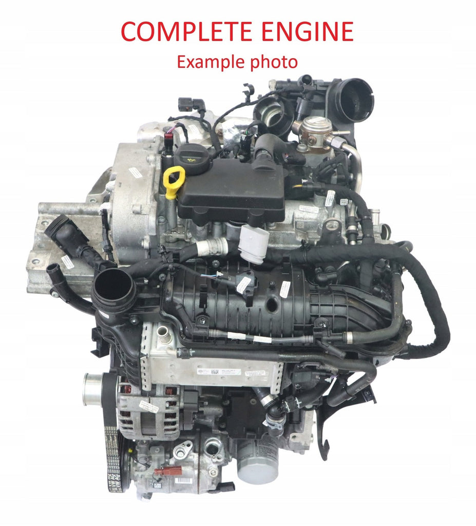 Motor Audi Seat VW Ibiza Golf DLAA 1.0 TFSI 110PS 81kW 19TKm Benzin Unkomplett