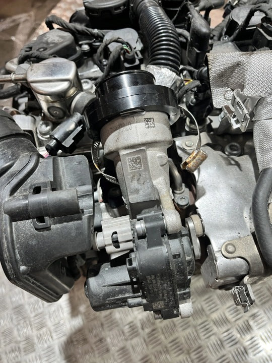 Motor VW Golf VIII I DXD DXDB XK1 1.5 TSI 116PS 85kW 15TKm 2024 Benzin Komplett MOT9964715259ir