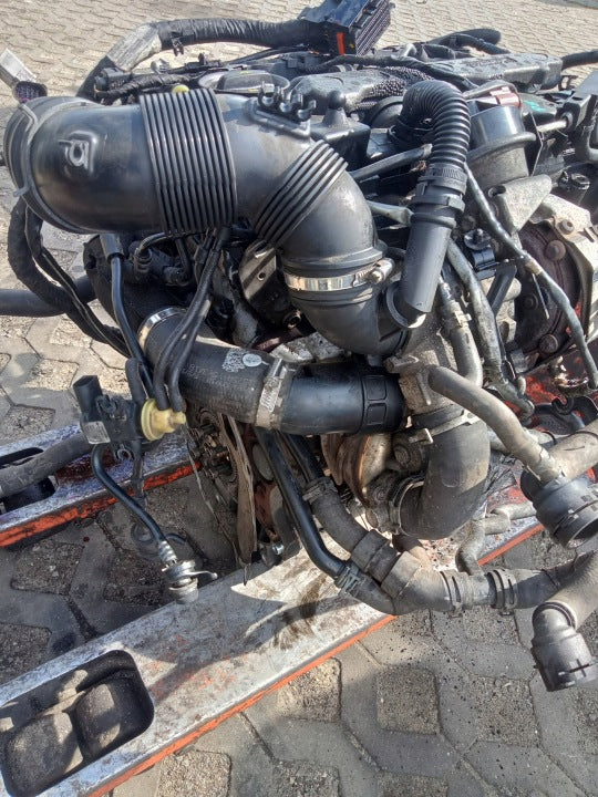 Motor Audi Seat Skoda VW I DFG 2.0 TDI Diesel Engine Unkomplett MOT4562026627wk