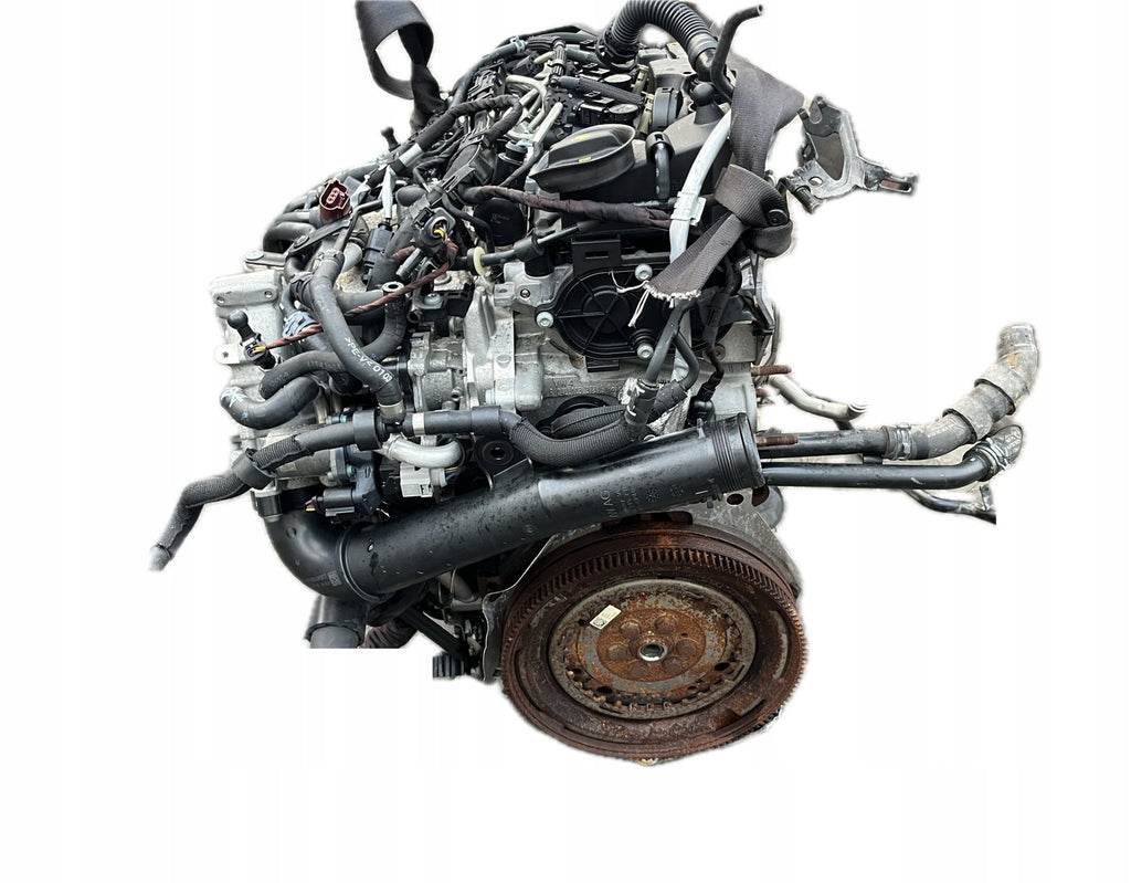 Motor Audi Seat Skoda VW A3 Leon CXXB DBKA CRKB 1.6 TDI 82TKm Diesel Komplett