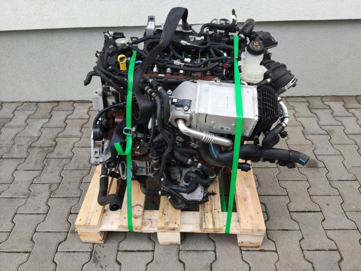 Motor Ford Kuga I YLDC 2.0 TDCI 118TKm 2019 Diesel Engine Komplett MOT6413995846xa