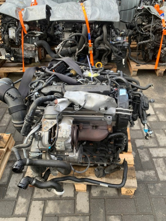Motor Audi Seat Skoda VW I DGD DGDA DGDB DGDC 1.6 TDI 126TKm Diesel Komplett MOT3130625763ia