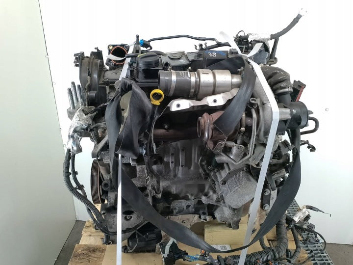 Motor Ford Connect XUGA 1.5 TDCI 75PS 55kW 2020 Diesel Engine Unkomplett MOT3427362408gc