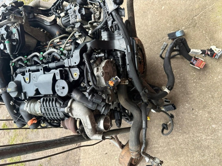 Motor Citroën Peugeot Berlingo Partner 9H06 1.6 E-HDI 100TKm Diesel Komplett MOT2450031882gw