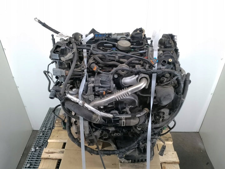 Motor Ford Connect XUGA 1.5 TDCI 75PS 55kW 2020 Diesel Engine Unkomplett MOT3427362408gc