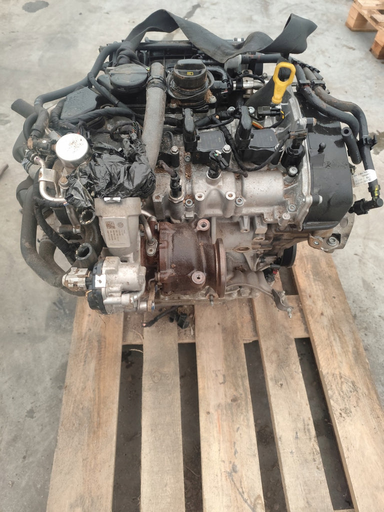 Motor VW Golf VIII DHF 1.5 TSI 96kW Benzin Engine Komplett