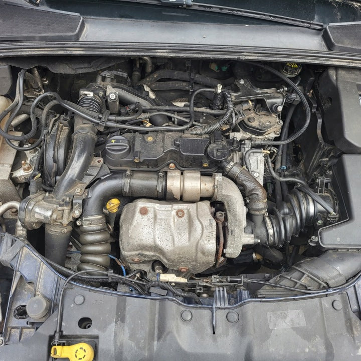 Motor Ford Focus T1DB T3DB 1.6 TDCI 115PS 178TKm Diesel Engine Komplett MOT3647882163go