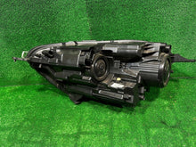 Laden Sie das Bild in den Galerie-Viewer, Frontscheinwerfer Ford Ecosport GN15-13W029-J Rechts Scheinwerfer Headlight SCH7816307640hi