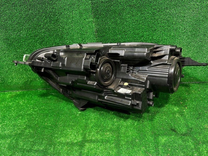 Frontscheinwerfer Ford Ecosport GN15-13W029-J Rechts Scheinwerfer Headlight SCH7816307640hi