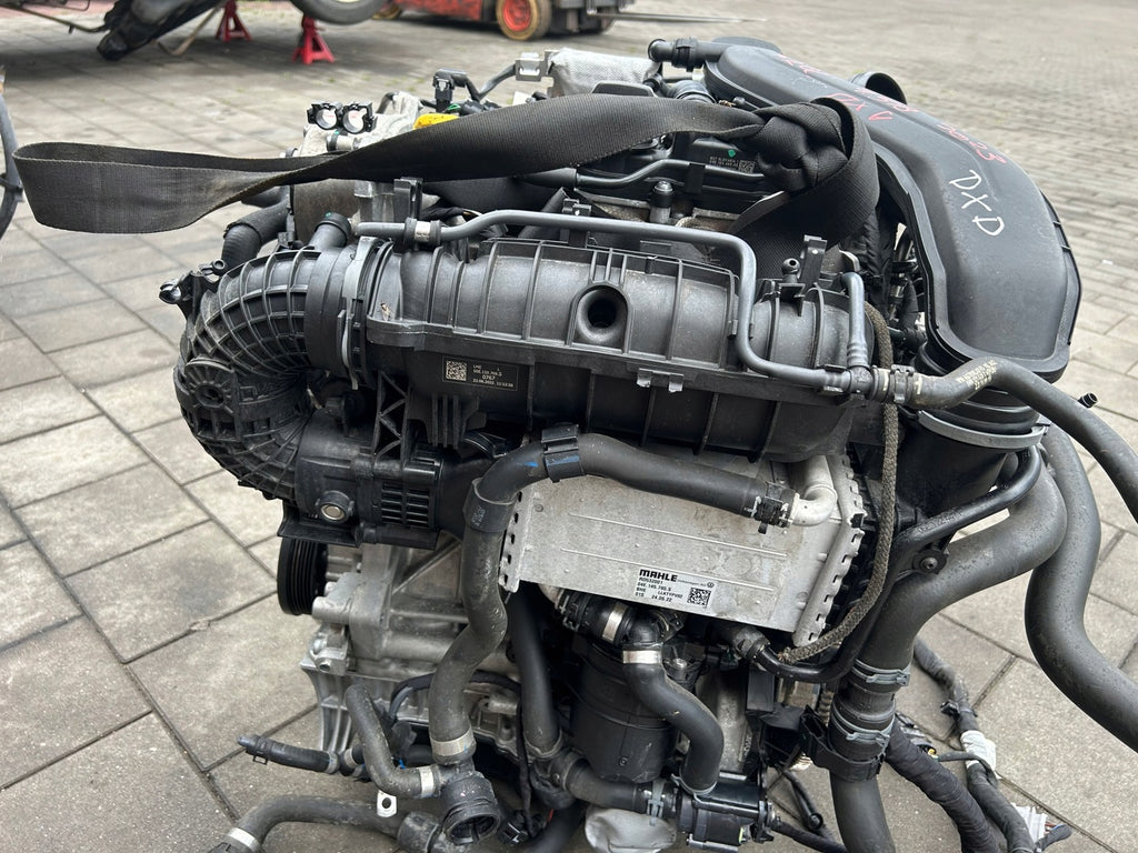 Motor VW Golf VIII I DXD 1.5 TSI 90PS 66kW 20TKm Benzin Engine Komplett