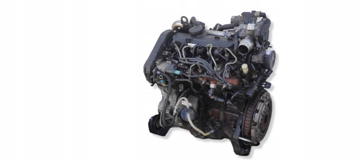 Motor Renault Kangoo K9KE808 1.5 DCI 2008 Diesel Engine Komplett MOT2210936905xg
