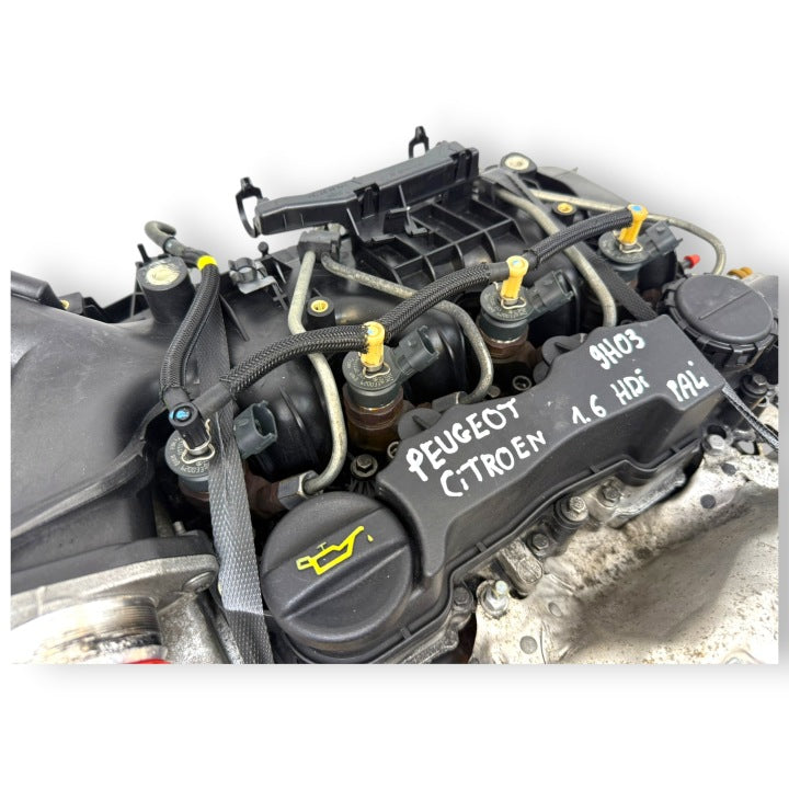 Motor Citroën Berlingo 9H03 1.6 HDI 75PS 55kW 149TKm 2008 Diesel Unkomplett MOT6698473150iv