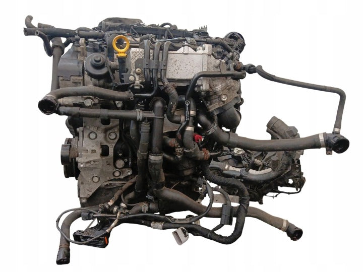 Motor Skoda Superb III CRLB 2.0 TDI 150PS 110kW 156TKm 2015 Diesel Komplett MOT7568731510jz