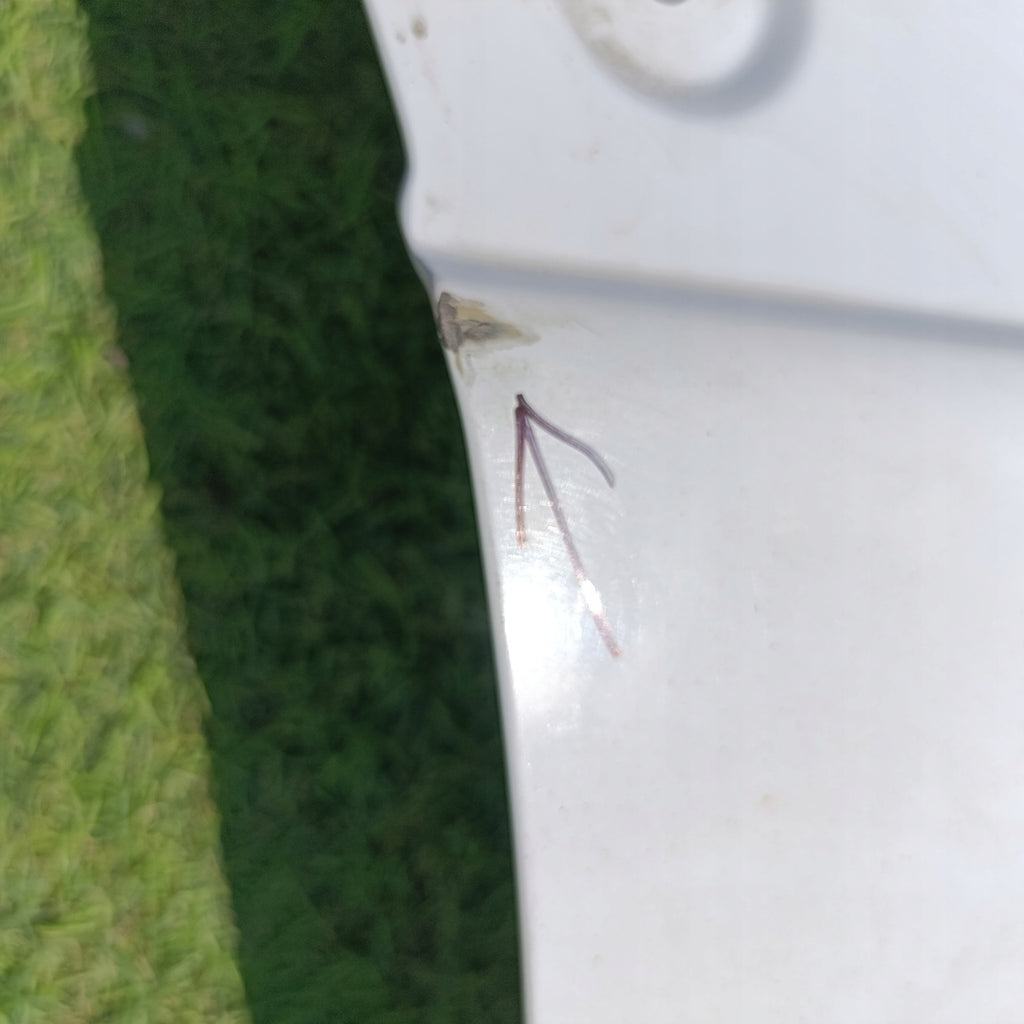 Tür Mercedes-Benz Sprinter Vorne Links Weiß Door Porta Porte