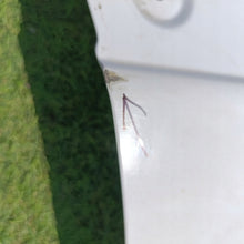 Laden Sie das Bild in den Galerie-Viewer, Tür Mercedes-Benz Sprinter Vorne Links Weiß Door Porta Porte