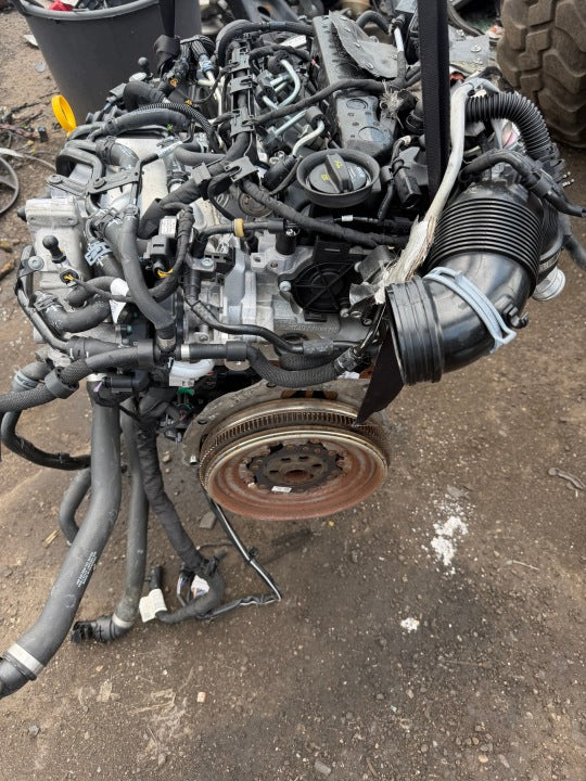 Motor Audi Seat VW I DFF DFFA 2.0 TDI 150PS 54TKm Diesel Engine Unkomplett MOT1242522336pl