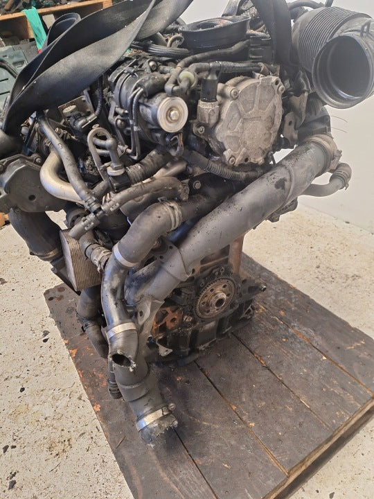Motor Audi VW A3 I CAY 1.6 TDI 105PS 166TKm 2022 Diesel Engine Komplett MOT2118253064ej