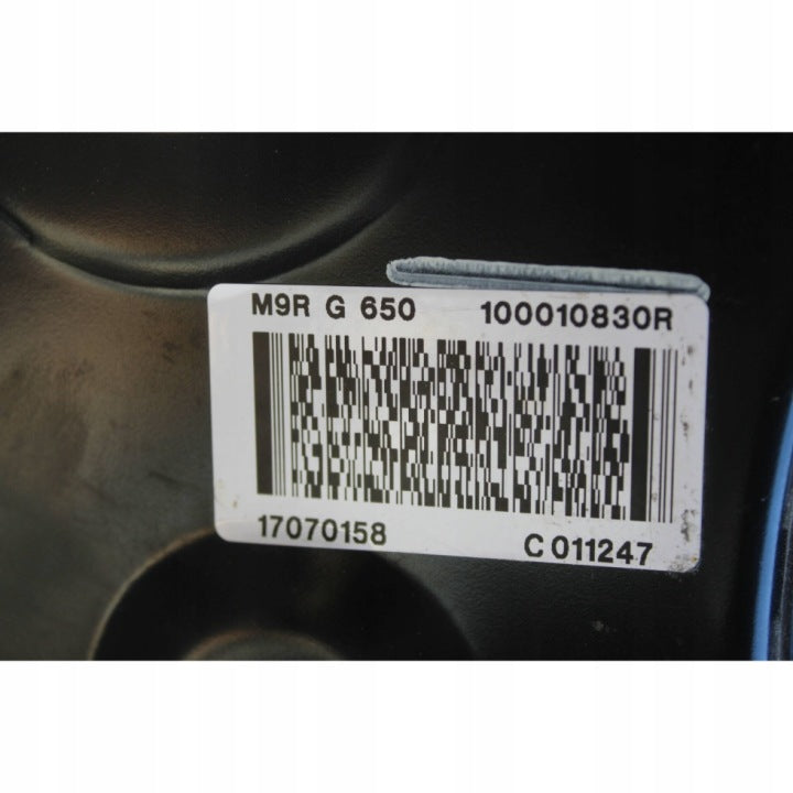 Motor Renault I M9R650 2.0 DCI 2020 Diesel Engine Unkomplett MOT3288190736yn