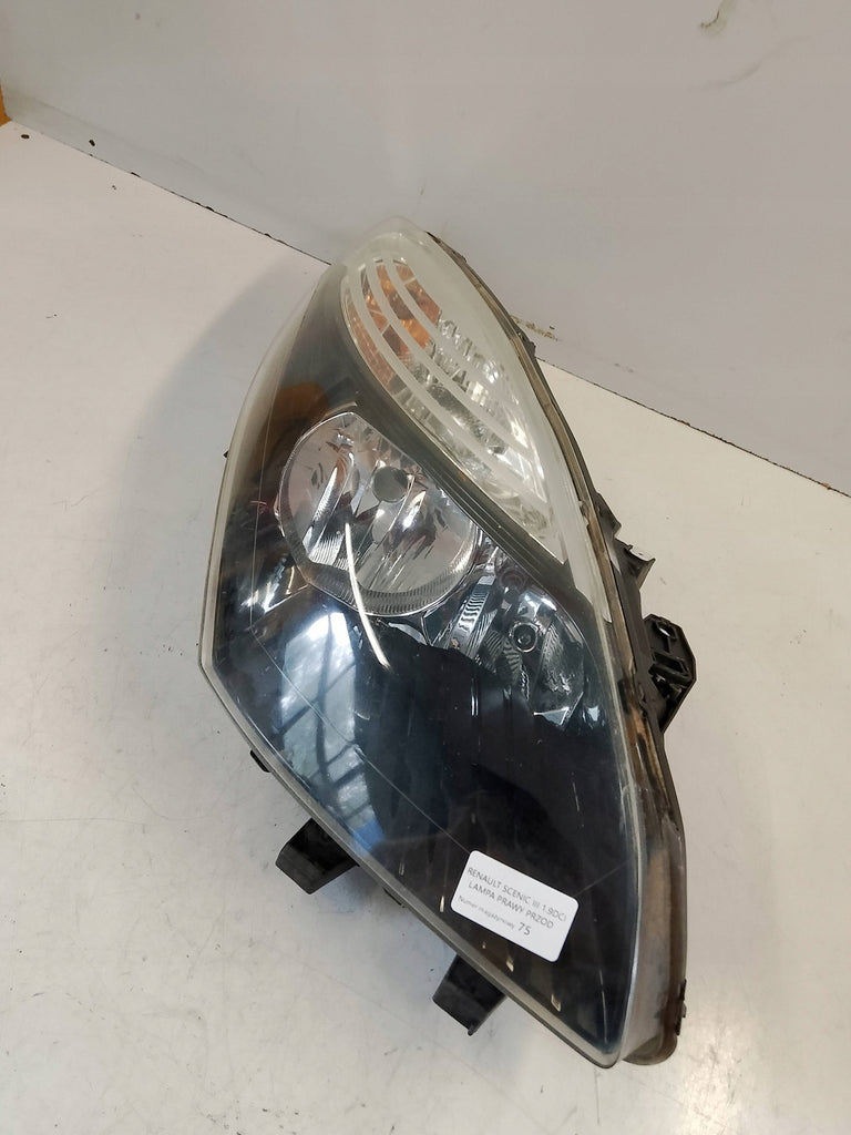 Frontscheinwerfer Renault Scenic Rechts Scheinwerfer Headlight