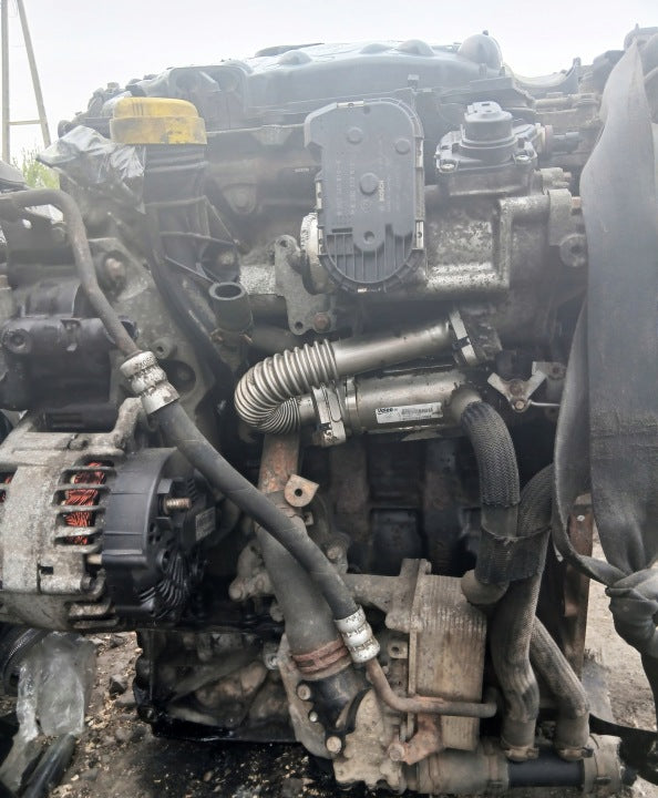 Motor Renault Trafic M9R 2.0 DCI 196TKm 2008 Diesel Engine Komplett MOT2384415845ey