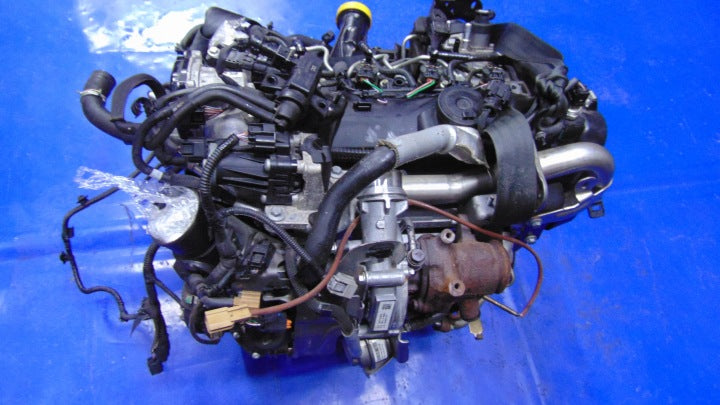 Motor Dacia Ford Renault II Kangoo K9KE628 1.5 DCI 102TKm 2019 Diesel Komplett MOT7190185328bo