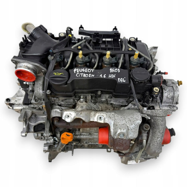 Motor Citroën Berlingo 9H03 1.6 HDI 75PS 55kW 149TKm 2008 Diesel Unkomplett MOT6698473150iv