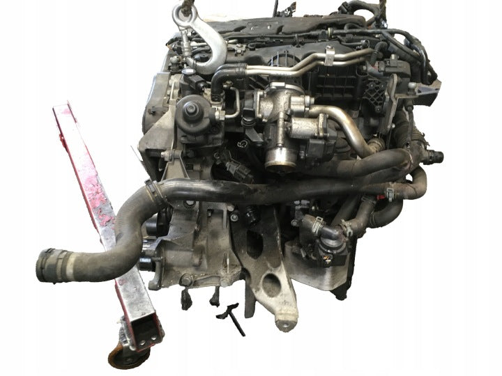 Motor Audi Skoda VW I CAGC CAG 2.0 TDI 105kW Diesel Engine Komplett MOT5798691032ne