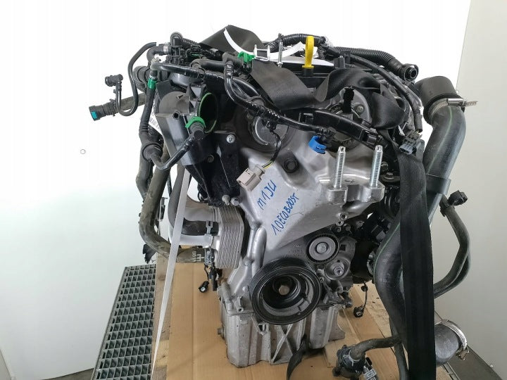 Motor Ford Focus SFJC 1.0 2021 Benzin Engine Unkomplett MOT5242745519ho