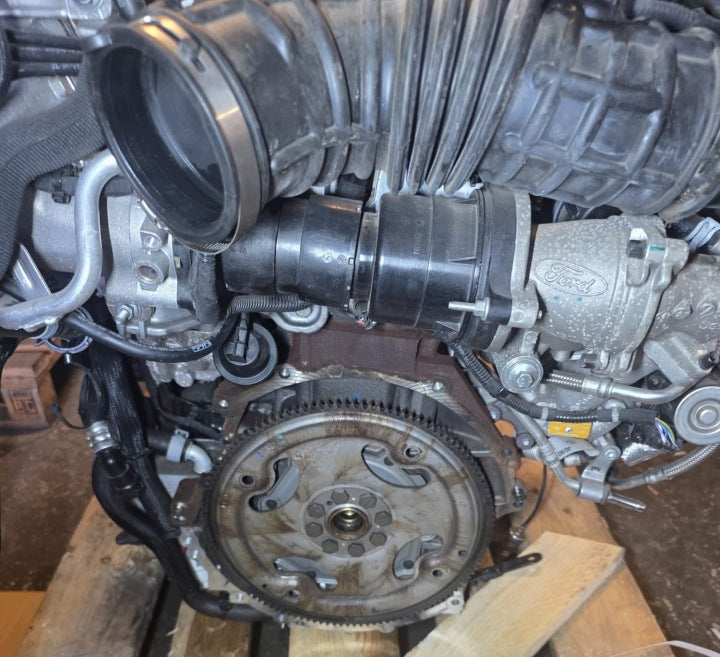 Motor Ford Mondeo I YLCB 2.0 TDCI 50TKm 2022 Diesel Engine Unkomplett MOT1290381840ev