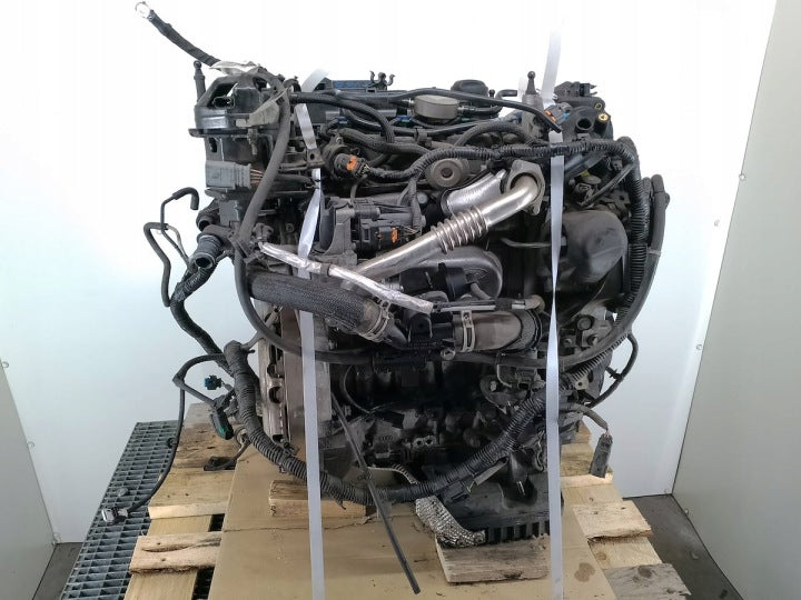 Motor Ford Connect XUGA 1.5 TDCI 75PS 55kW 2020 Diesel Engine Unkomplett MOT3427362408gc