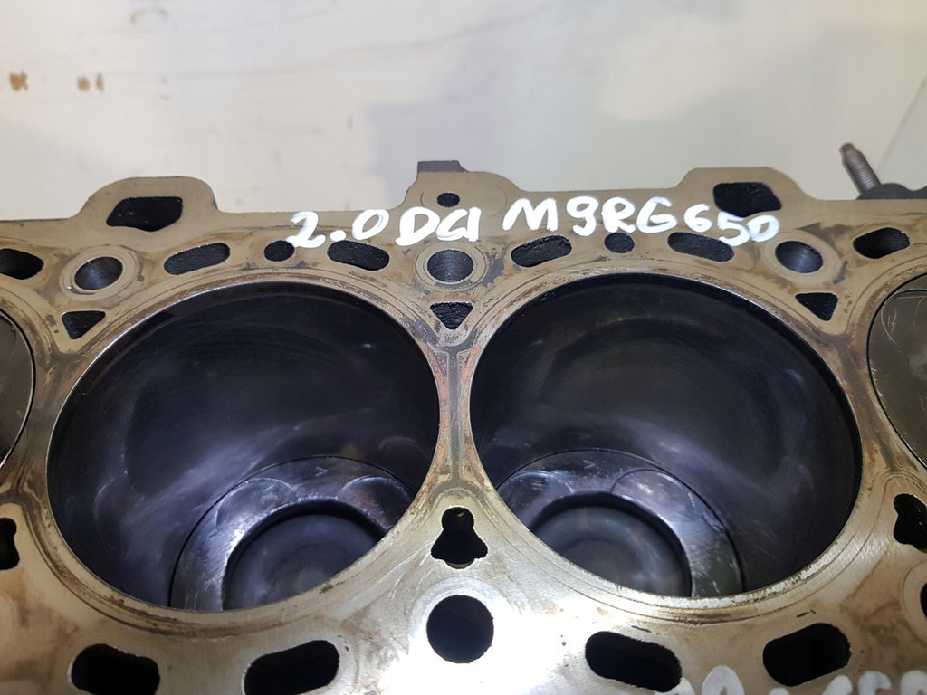 Motorblock Renault Espace III Talisman Koleos M9R650 2.0 DCI Diesel Unkomplett