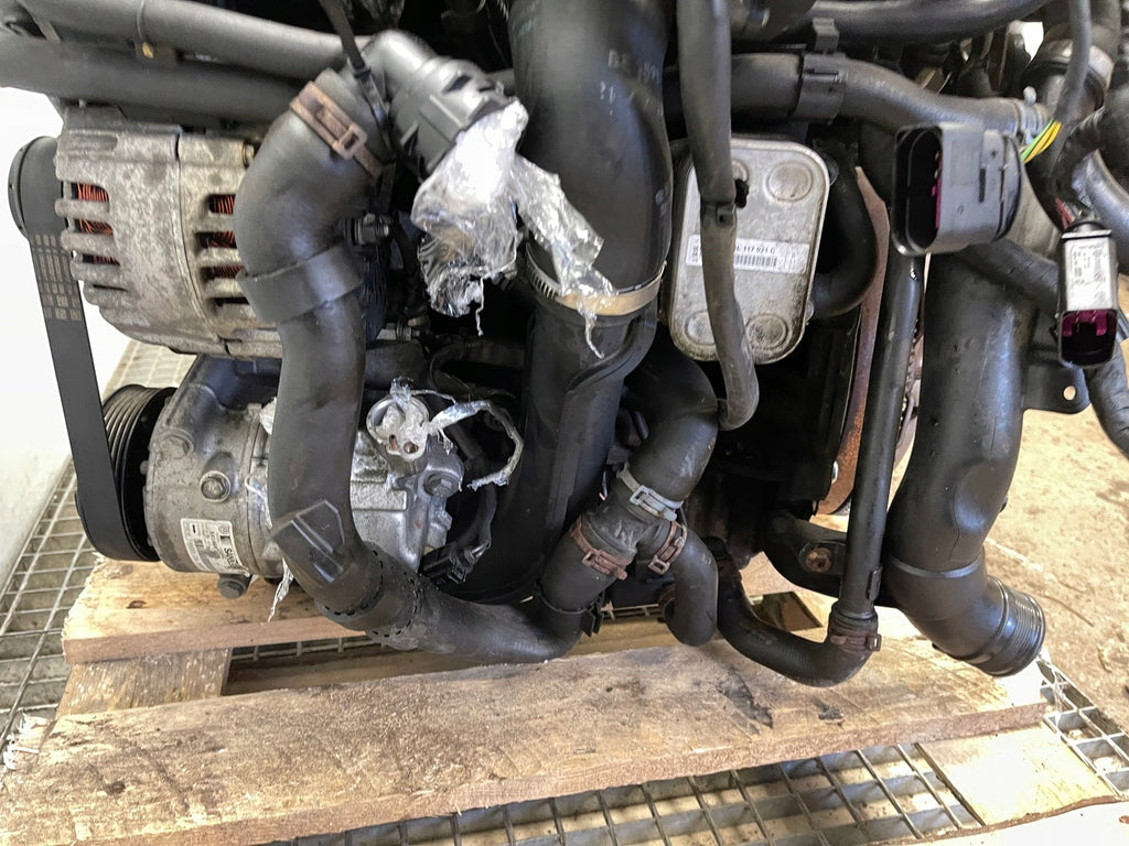 Motor Audi VW A1 Golf VI CAYC 1.6 TDI 105PS 77kW 203TKm 2011 Diesel Komplett