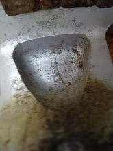 Laden Sie das Bild in den Galerie-Viewer, 4x Alufelge 15 Zoll 7.0&quot; 6x139.7 Toyota Hilux Rim Wheel